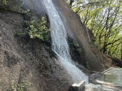 -六里坪国家森林公园