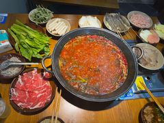 -阳阳老火锅(小南门店)