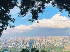 -大蜀山国家森林公园