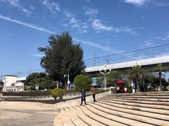 -宝安西湾红树林湿地公园