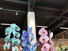 -昆明植物园
