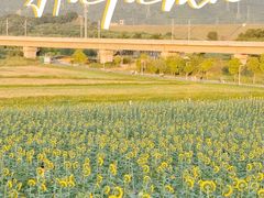 -光明小镇欢乐田园