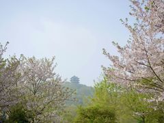-采石矶景区