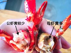 -虾享蟹逅小龙虾·螃蟹·小海鲜(吉林省总店)
