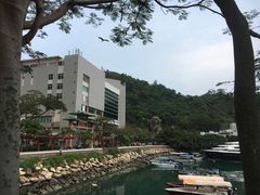 -鲤鱼门海鲜街