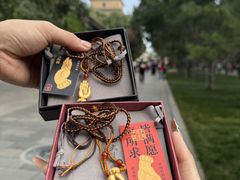 -大慈恩寺(大雁塔)