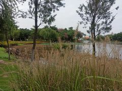 -映月湖公园