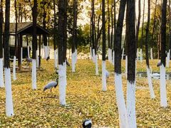 -艾溪湖湿地公园