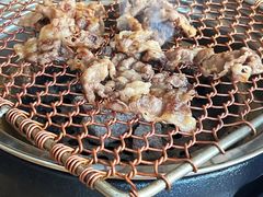 -向阳庄烧烤店(望京西园店)