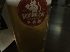 -Boxing Cat Brewery拳击猫精酿啤酒馆(永福店)