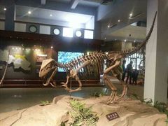 -自贡恐龙博物馆