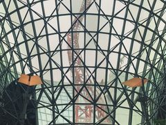 -法拉利主题公园