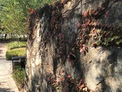 -清远熹乐谷温泉度假酒店