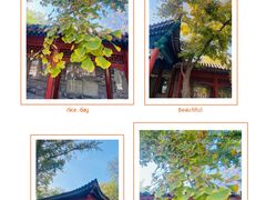 -北京石刻艺术博物馆(五塔寺)