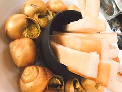 金蜗牛-金蜗牛