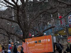 -吉姆冒险世界(蓟州店)
