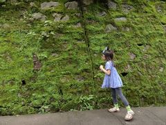 -苍山感通索道