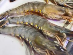 -釜山火炉·海鲜烤肉(紫藤路店)