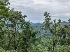-天女山森林公园