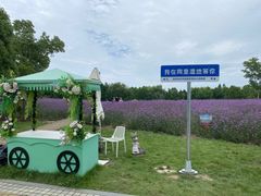 -同里国家湿地公园