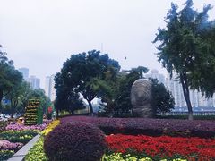 -西北湖绿化广场