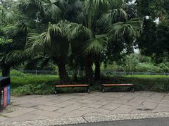 -张坝桂圆林公园
