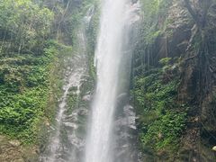 -莫里热带雨林景区