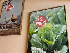 -杨厨的田园饭店(长城路店)