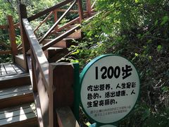 -大岭沟猕猴桃谷风景区
