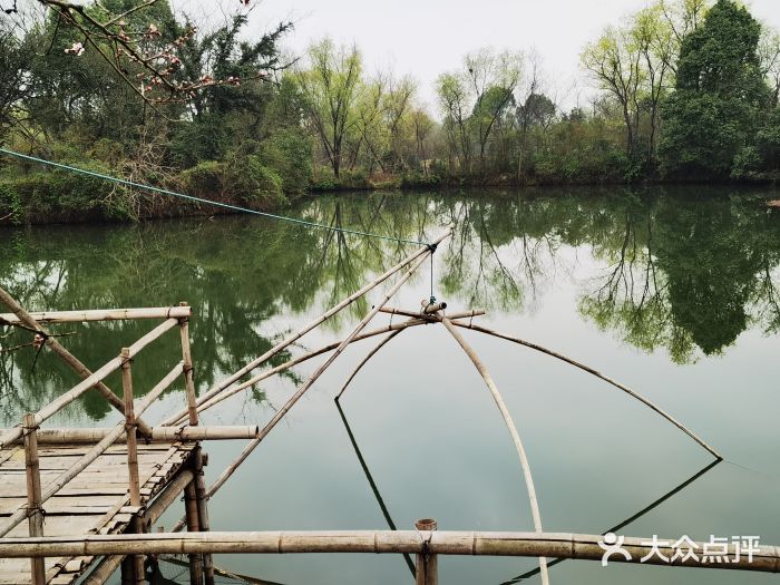 西溪国家湿地公园图片