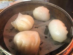 虾饺-点点心点心专门店(湾仔店)