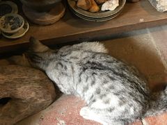-老屋咖啡
