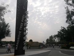 -宝安西湾红树林湿地公园