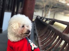 -丝绸小镇荻港古村