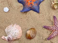 -海合安天津极地海洋公园
