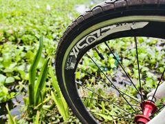 -白鹭湾湿地公园