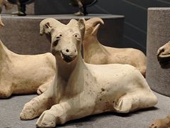 -广西壮族自治区博物馆