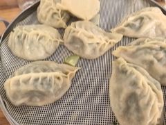 -小叶大馅饺子城