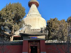 -妙应寺白塔