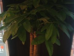 -泰之源足浴会所(玉环店)