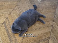 -Me Coffee下午茶艺术空间