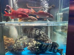 -1718海鲜姿造(苏宁宴请臻选店)