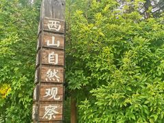 -北京西山国家森林公园