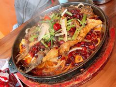 -老板恋上鱼(恒隆广场店)