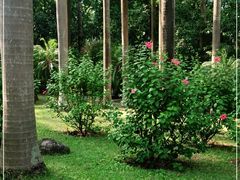 -北海市海滨公园