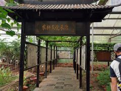 -上海都市菜园