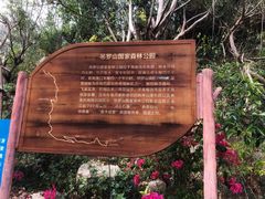 -海南热带雨林国家公园吊罗山景区