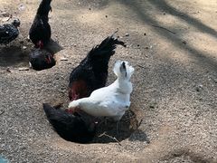 -南京金牛湖风景区