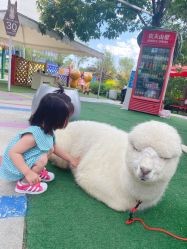 -萌宠亲子动物乐园(槐房万达店)