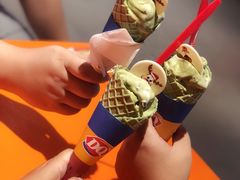 宇治抹茶暴风雪-DQ·蛋糕·冰淇淋(湖景东路店)